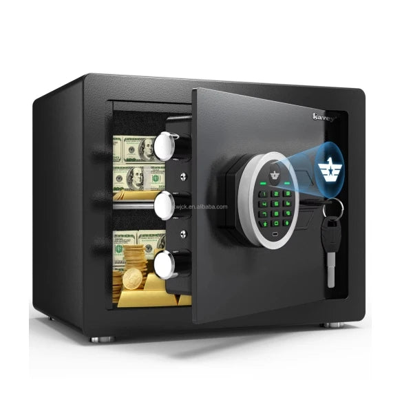 Digital Electronic Safe