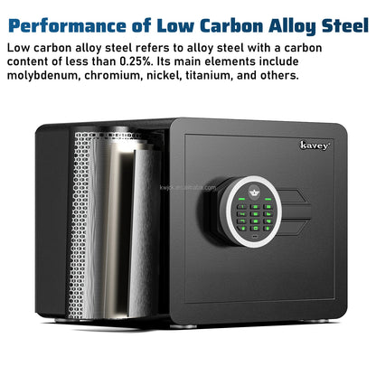 Digital Electronic Safe